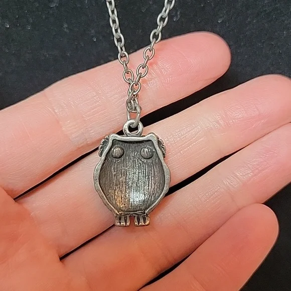 Owl Pendant Necklace in Silver Tone - Picture 4 of 6